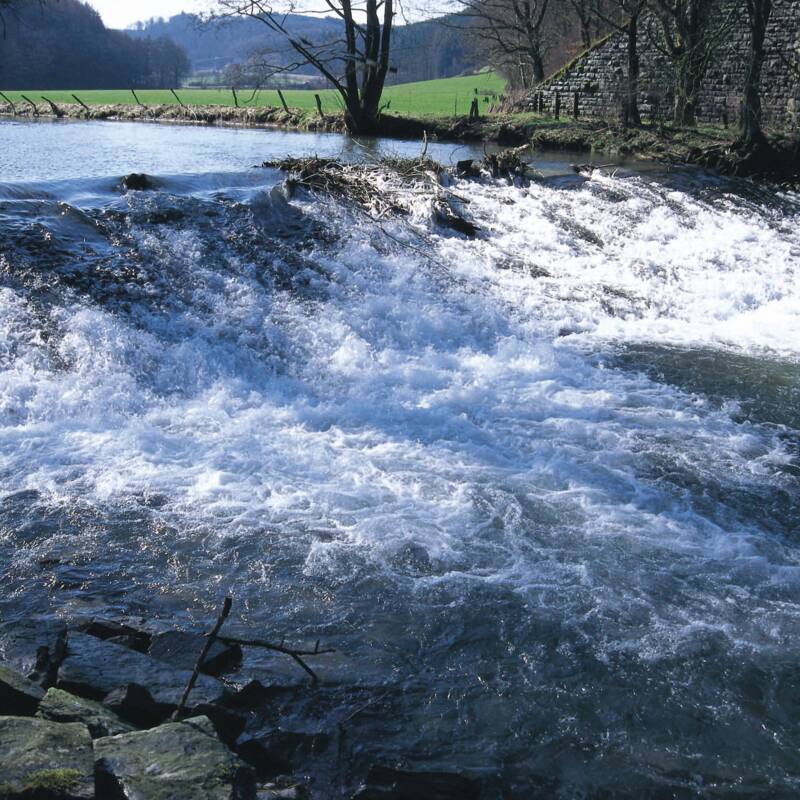 Bild Wasser und Steine