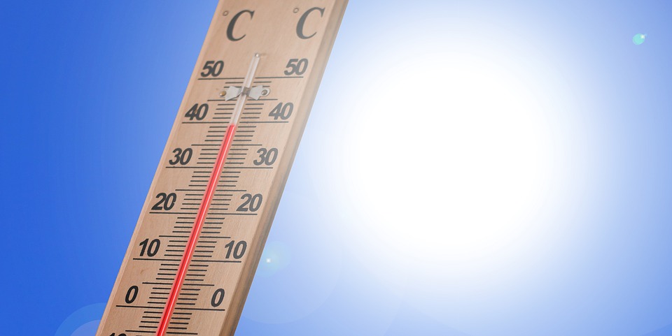 Bild Thermometer / Hitze